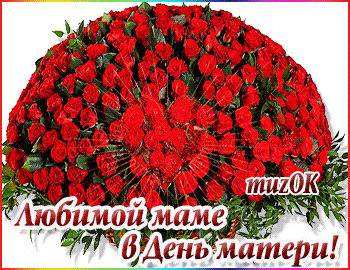 Розы для мамы в День матери