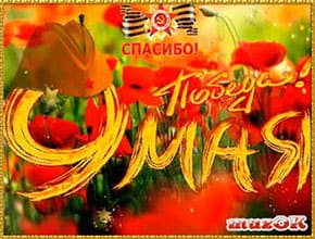 Супер поздравление на 9 мая. Видео открытка.