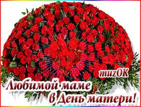 Розы для мамы в День матери. Красивая музыкальная открытка с Днём матери