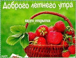 С добрым летним утром. Видео открытки. Скачать бесплатно