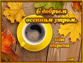 Доброе осеннее утро. Красивые видео открытки. Скачать бесплатно.