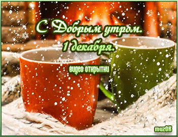 Видео открытки 1 декабря. С первым зимним утром.
