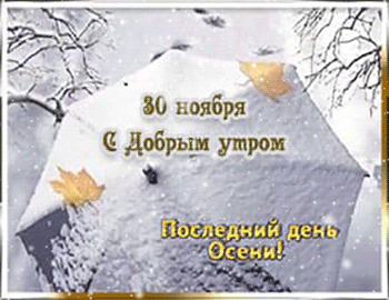С добрым утром 30 ноября. Видео открытки с последним днем осени.