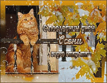 Видео открытки с последним днем осени